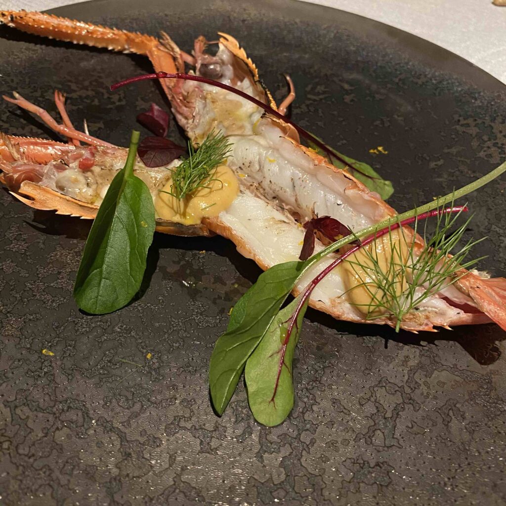 駿河湾の手長海老