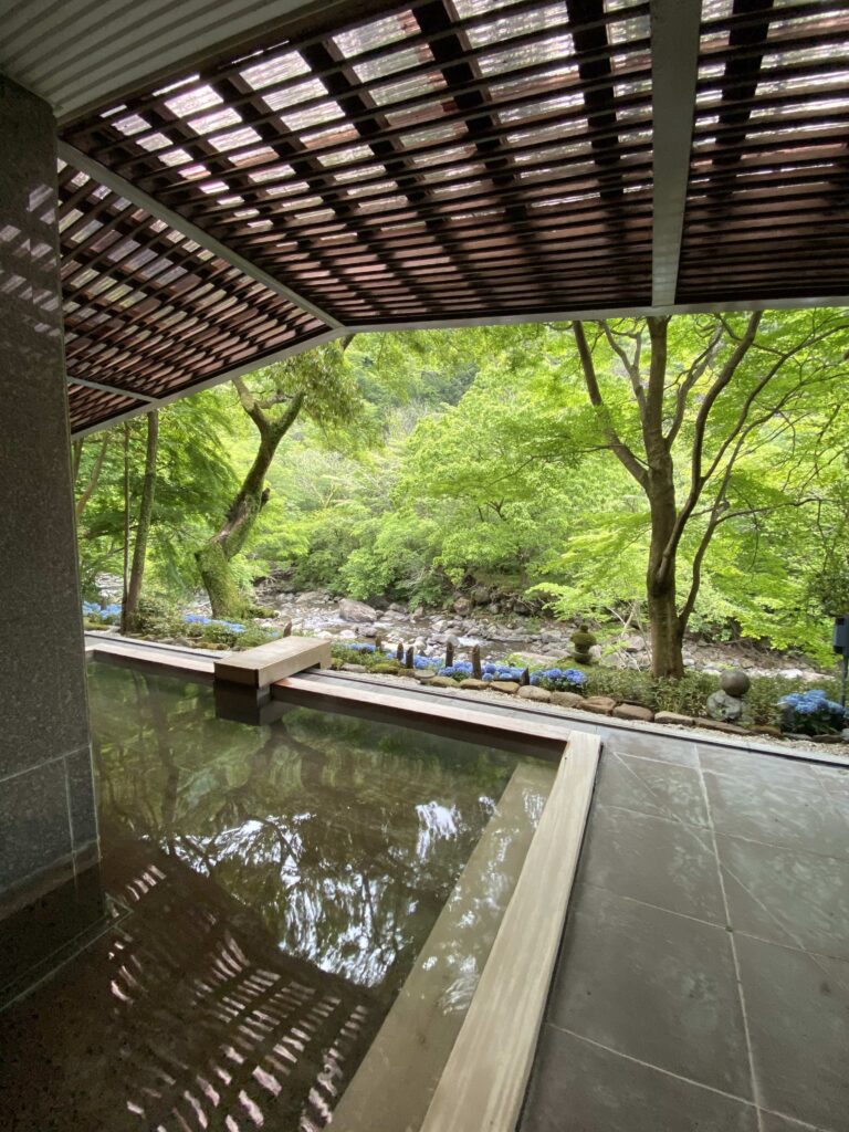 半露天風呂近くの清流