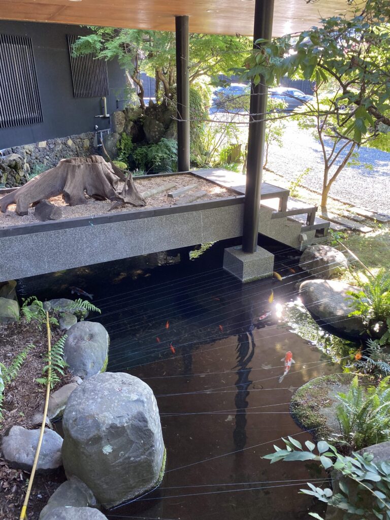 鯉が泳ぐ池