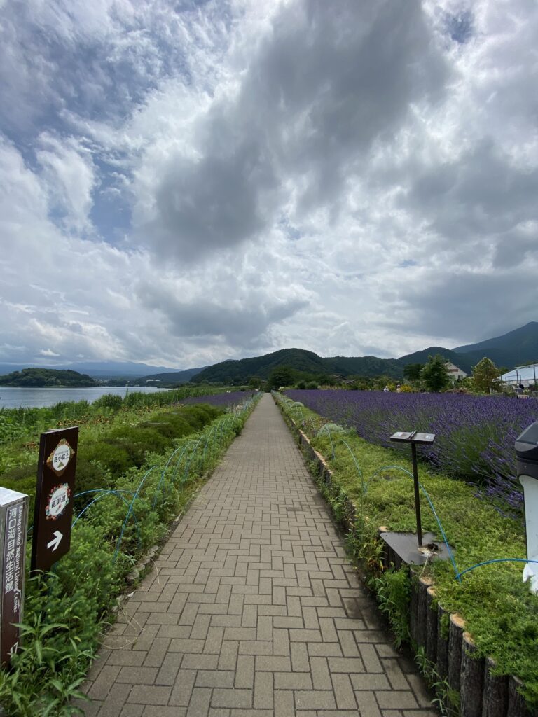 大石公園内の道