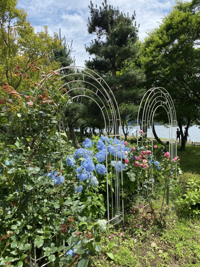 バラや紫陽花等