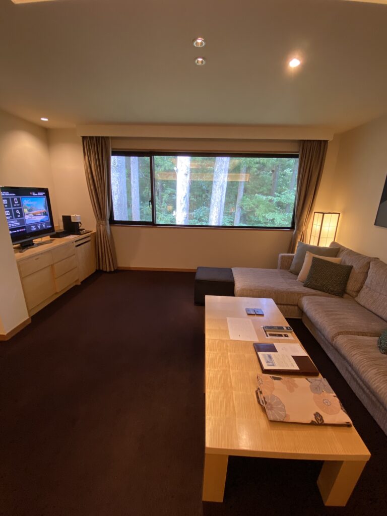 お部屋のソファとテレビ