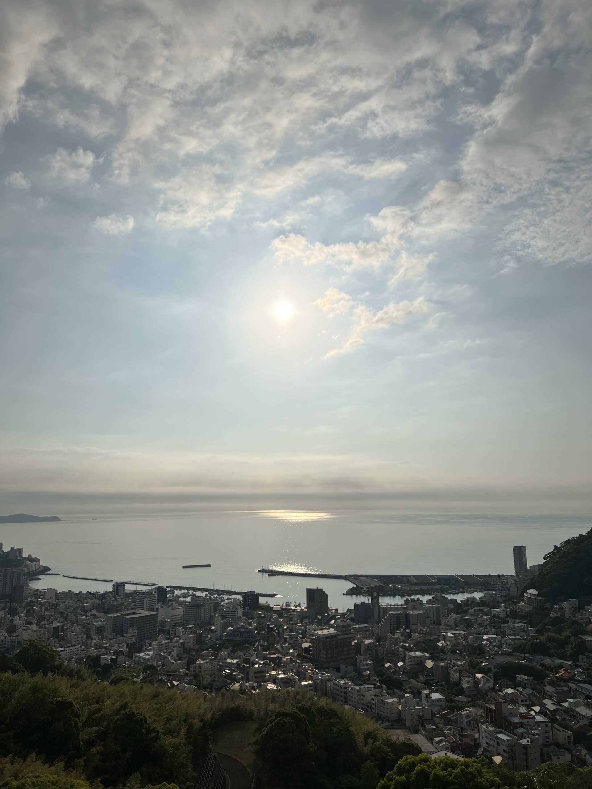 伊豆の鮎姿焼き