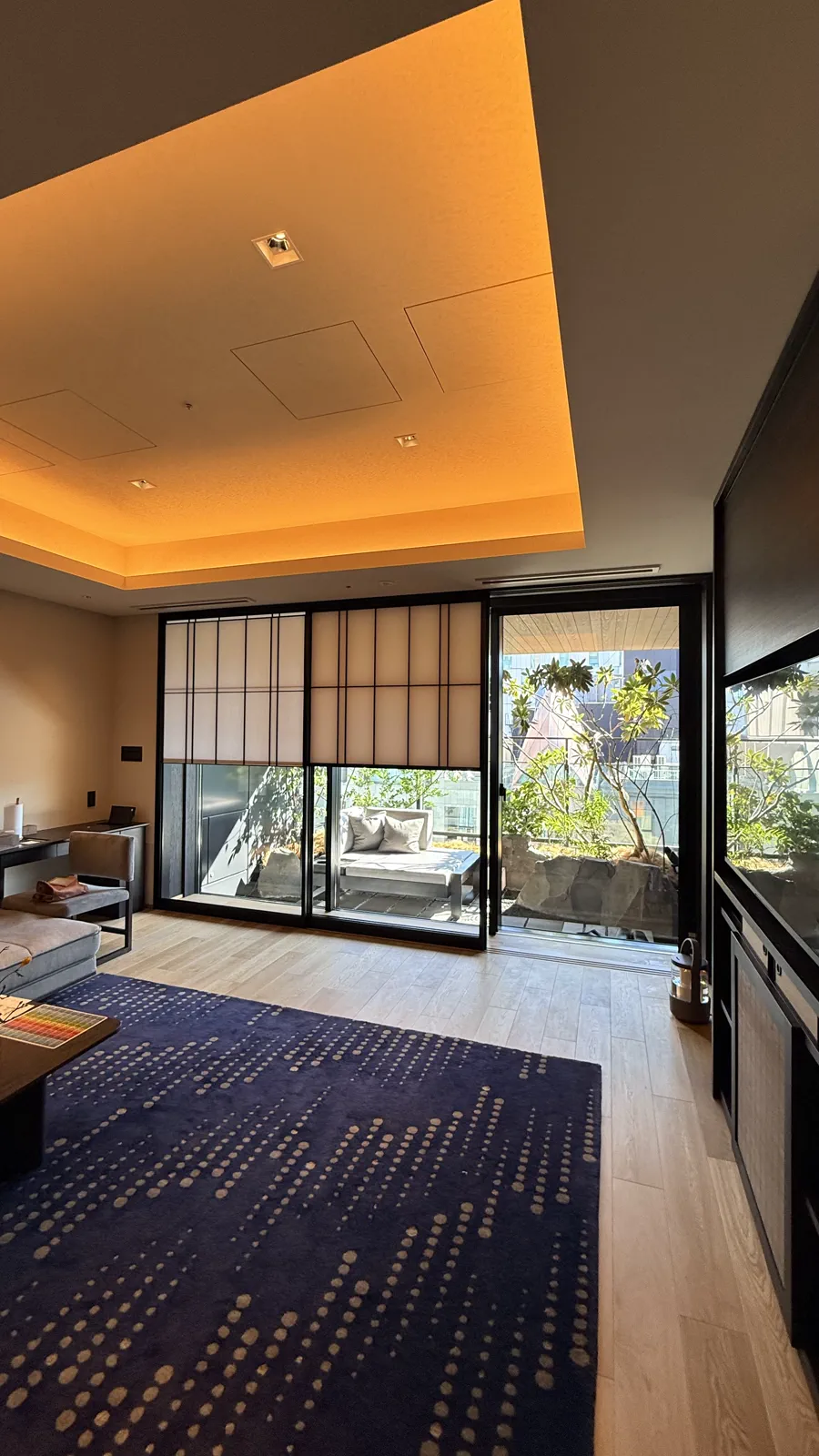 テラスが見える客室のリビングとソファ